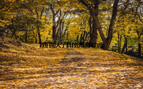 我们加大了科技创新的力度