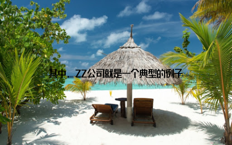 其中, ZZ公司就是一个典型的例子