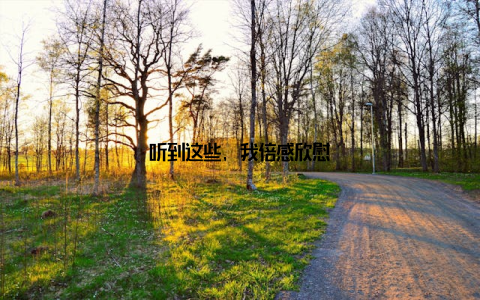 听到这些, 我倍感欣慰