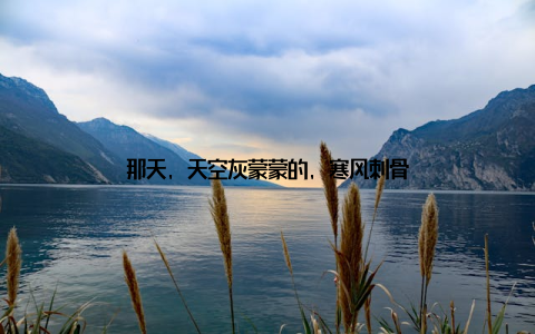 那天, 天空灰蒙蒙的, 寒风刺骨