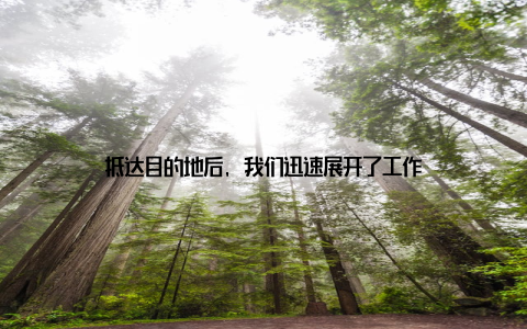 抵达目的地后, 我们迅速展开了工作