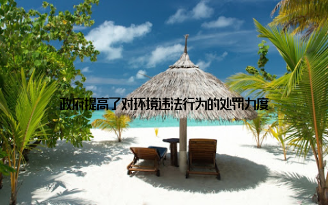 政府提高了对环境违法行为的处罚力度