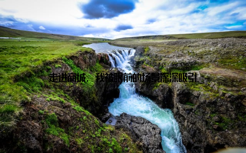 走进商城, 我被眼前的场景深深吸引