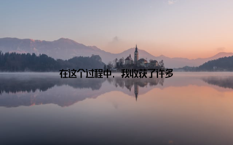在这个过程中, 我收获了许多