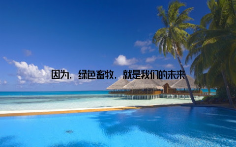 因为, 绿色畜牧, 就是我们的未来