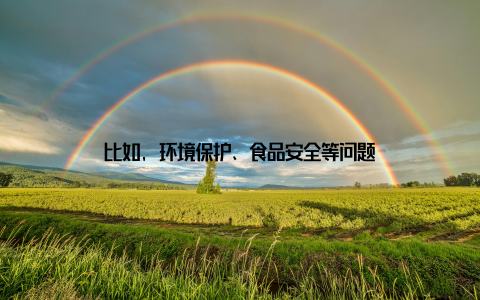 比如, 环境保护、食品安全等问题