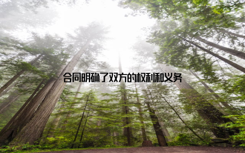 合同明确了双方的权利和义务