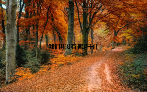 我们并没有满足于此