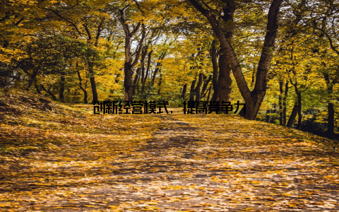 创新经营模式, 提高竞争力