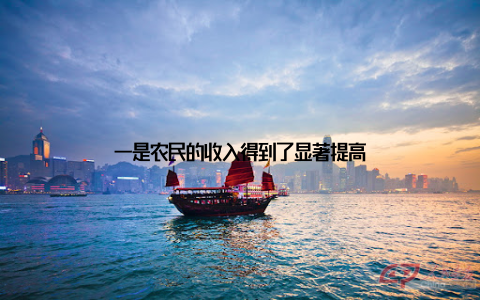 一是农民的收入得到了显著提高