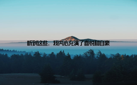 听到这些, 我内心充满了喜悦和自豪