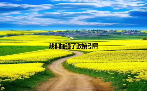 我们加强了政策引导