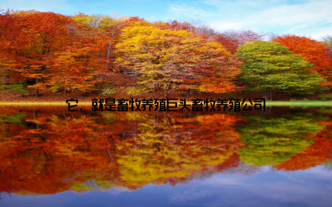 它, 就是畜牧养殖巨头畜牧养殖公司