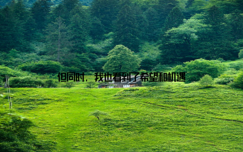 但同时, 我也看到了希望和机遇