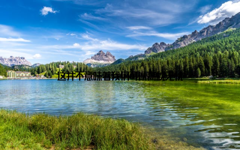 这并不意味着我们可以高枕无忧