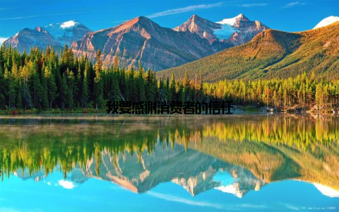 我要感谢消费者的信任