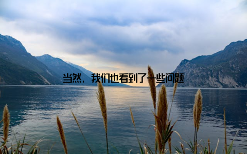 当然, 我们也看到了一些问题