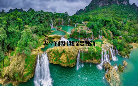 老李的话让我深受触动