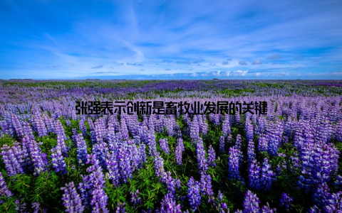 张强表示创新是畜牧业发展的关键