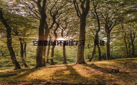 它需要我们不断地学习、、突破