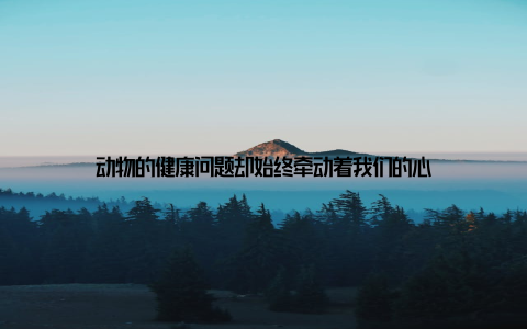 动物的健康问题却始终牵动着我们的心