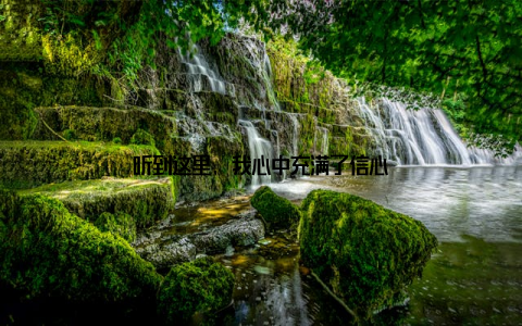 听到这里, 我心中充满了信心