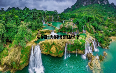 发展壮大村级集体经济