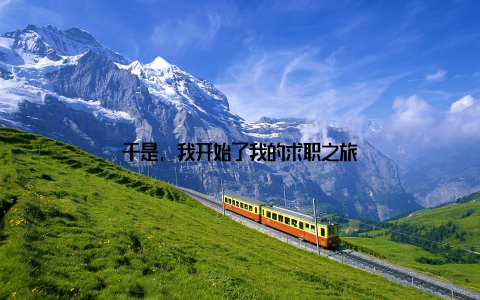 于是, 我开始了我的求职之旅