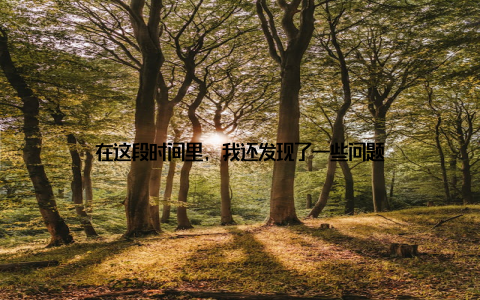 在这段时间里, 我还发现了一些问题