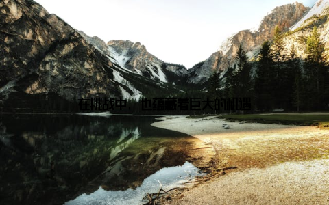 在挑战中, 也蕴藏着巨大的机遇