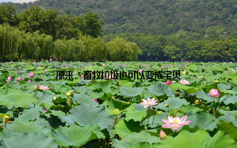 原来, 畜牧垃圾也可以变成宝贝