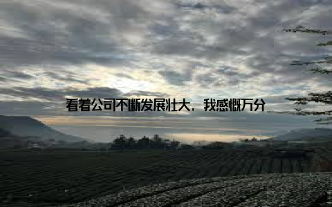 看着公司不断发展壮大, 我感慨万分