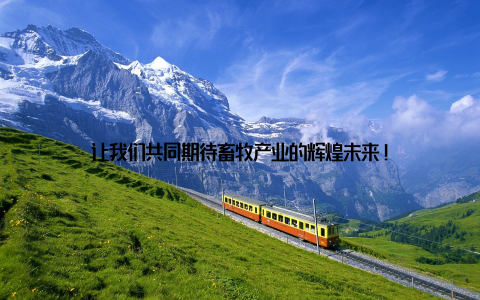 让我们共同期待畜牧产业的辉煌未来!