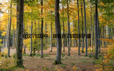 在这个过程中, 我看到了科技的力量