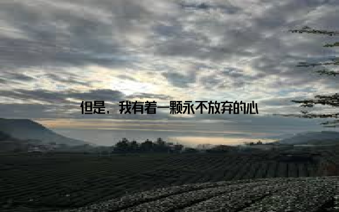 但是, 我有着一颗永不放弃的心