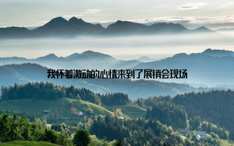 我怀着激动的心情来到了展销会现场