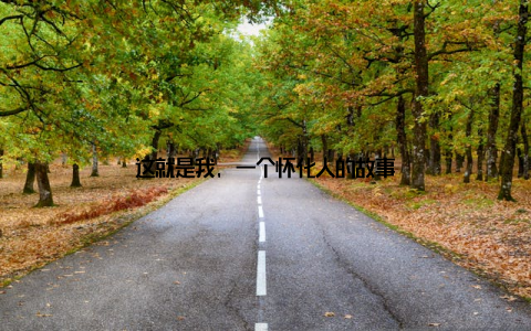 这就是我, 一个怀化人的故事