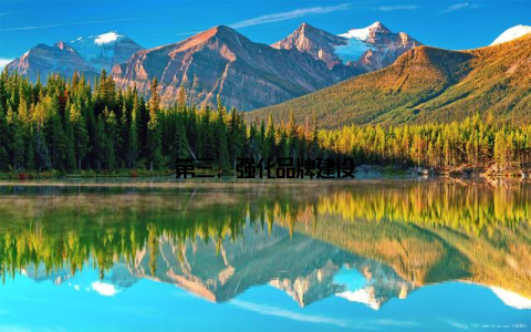 第三, 强化品牌建设