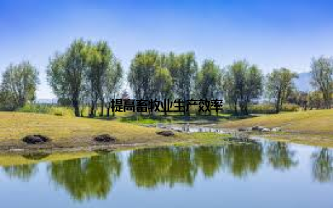 提高畜牧业生产效率