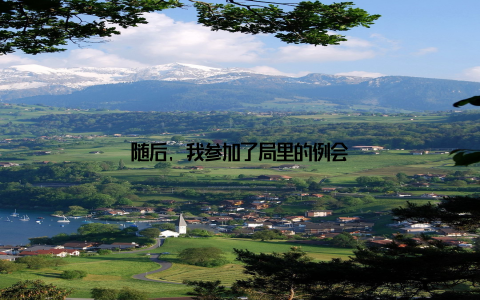 随后, 我参加了局里的例会