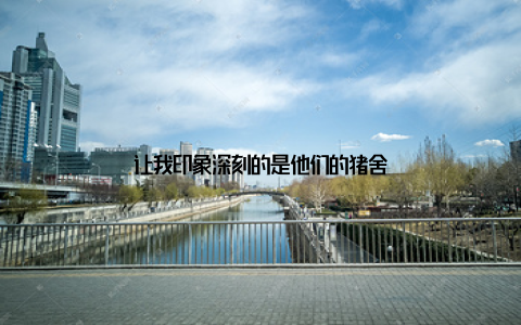 让我印象深刻的是他们的猪舍