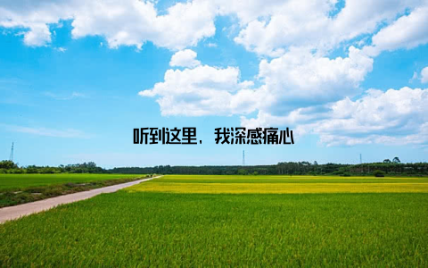 听到这里, 我深感痛心