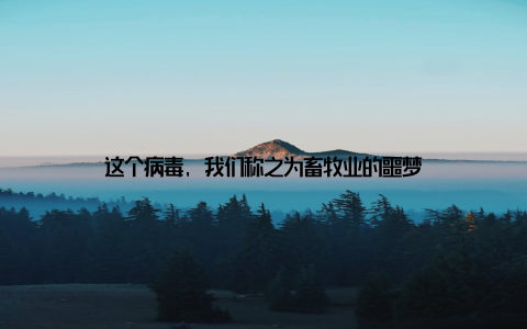 这个病毒, 我们称之为畜牧业的噩梦