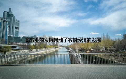 畜牧业的发展带动了农村经济的发展