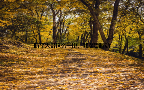 听李大哥这么一说, 我深受触动