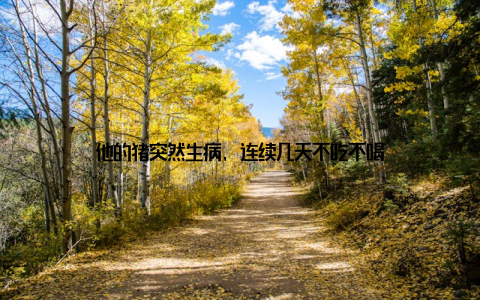 他的猪突然生病, 连续几天不吃不喝