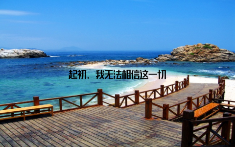 起初, 我无法相信这一切