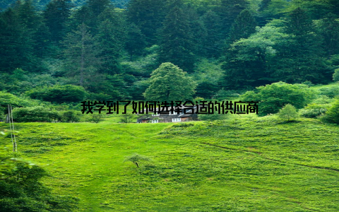 我学到了如何选择合适的供应商