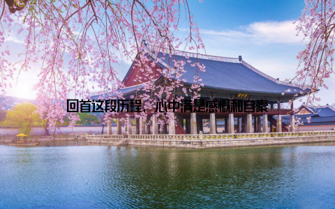 回首这段历程, 心中满是感慨和自豪