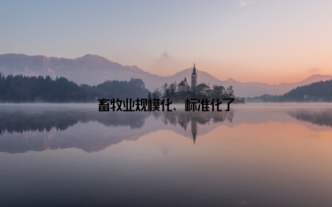 畜牧业规模化、标准化了